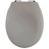 Image de Spirella Couvercle de Toilette Ovale de qualité supérieure avec Finition Mate et Fermeture en Douceur Lunette de Toilette antibactérienne en Duroplast et Acier Inoxydable Taupe