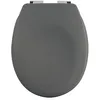 Image de Spirella Couvercle de Toilette Ovale de qualité supérieure avec Finition Mate et Fermeture en Douceur Lunette de Toilette antibactérienne en Duroplast et Acier Inoxydable Gris