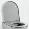 Image de Kartell LAUFEN Abattant WC, H8913337590001,