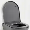 Image de Kartell LAUFEN Abattant WC, H8913337580001,