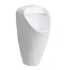 Image de LAUFEN Caprino Plus Urinoir, H8410667574011,