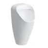 Image de LAUFEN Caprino Plus Urinoir, H8410617570001,