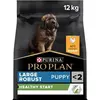 Image de PRO PLAN Aliment Sec pour Chiot de Grande Race au Poulet - Nutrition Complète et Équilibrée pour Chiots (12kg)
