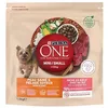 Image de PURINA ONE | Mini | Skin & Coat | Croquettes pour Chien Adulte de Petite Taille <10 Kg | Aide à Maintenir Une Peau Saine, Un Pelage Soyeux,et Limiter la Perte de Poils | Boeuf | Sac | Lot de 6 x 1,5Kg