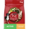 Image de PURINA ONE Medium/Maxi >10kg Active | Croquettes Riches en Poulet pour Chiens Adultes | Sac de 7 kg (Lot de 2)