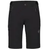 Image de Mammut Runbold IV Short pour Homme