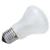 Image de Elinchrom Lampe pilote Elinchrom 100W / 196V / E27 - ELI23002