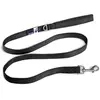 Image de Basic Leash Black L