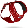 Image de Belka Harness Red S