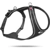 Image de Curli Belka Comfort Harness Black S