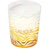 Image de Lalique - Bougie Le Soleil - Chiang Mai, Thaïlande Bougies 190 g unisex