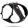 Image de Belka Harness Adjustable Neck Black XL