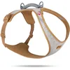 Image de Alpine Belka Harness Gray 2XL