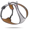 Image de Glow Belka Harness Gray 2XL