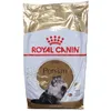 Image de Royal Canin FBN Persian
