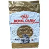 Image de Royal Canin FBN Maine Coon Croquettes pour chats