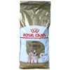 Image de Royal Canin Bulldog Adult