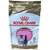 Image de Royal Canin FBN Kitten Persian