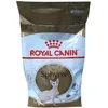 Image de Royal Canin FBN Sphynx Croquettes pour chats