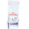 Image de Royal Canin® Neutered Adult Dental Digest Chien de petite race