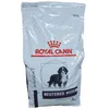 Image de Royal Canin Expert Neutered Junior L
