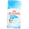 Image de Royal Canin Mini Puppy pour chiot
