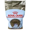Image de Royal Canin FBN Ragdoll