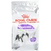 Image de Royal Canin CCN X-Small Sterilised