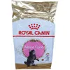 Image de Royal Canin FBN Kitten Maine Coon