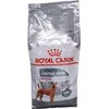 Image de Royal Canin CCN Medium Dental Care Croquettes pour chiens