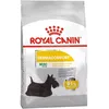 Image de Royal Canin CCN Mini Dermacomfort
