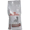 Image de Royal Canin® Veterinary Canine Gastrointestinal Moderate Calorie