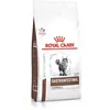 Image de Royal Canin Gastrointestinal Hairball Croquette Pour Chat