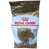 Image de Royal Canin German Shepherd Adult 5+