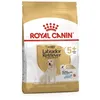 Image de Royal Canin Labrador Retriever Adult 5+