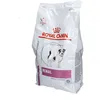 Image de Royal Canin® Renal Small Dogs
