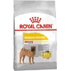 Image de Royal Canin Dermacomfort Medium