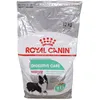 Image de Royal Canin CCN Medium Digestive Care Croquettes pour chiens