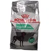 Image de Royal Canin CCN Maxi Digestive Care Croquettes pour chiens