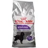 Image de Royal Canin CCN Maxi Sterilised Croquettes pour chiens