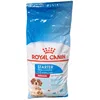Image de Royal Canin Shn Starter Mother & Babydog Medium