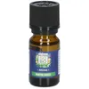 Image de So Bio Etic Huile Essentielle Menthe Douce