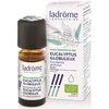 Image de Ladrôme Huile Essentielle Eucalyptus Globuleux