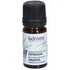 Image de Ladrôme Estragon
