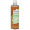 Image de Natessance Shampooing anti-pelliculaire Jujubier