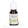 Image de Nat&Form Spray Propolis bio