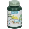 Image de Nat & Form Biologique Millepertuis Bio