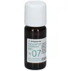 Image de Arkopharma Huile essentielle Eucalyptus Globulus bio N°07