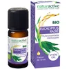 Image de naturactive Eucalyptus radié Huile essentielle BIO