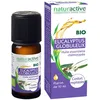 Image de naturactive Eucalyptus globuleux Huile essentielle BIO